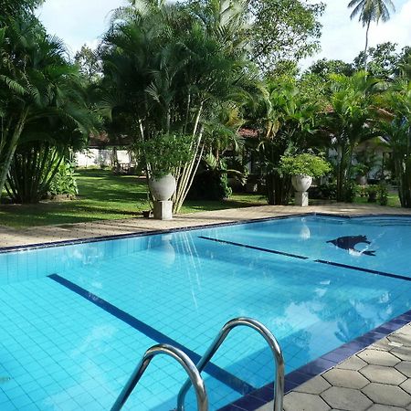 Fire Dragon Hideaway Otel Negombo Dış mekan fotoğraf