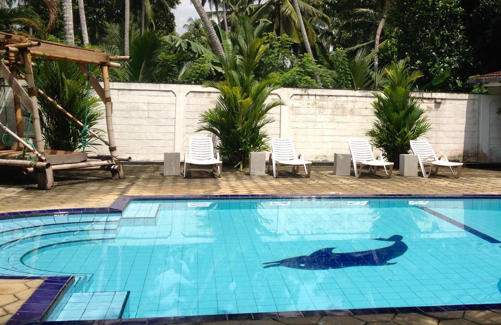 Fire Dragon Hideaway Otel Negombo Dış mekan fotoğraf