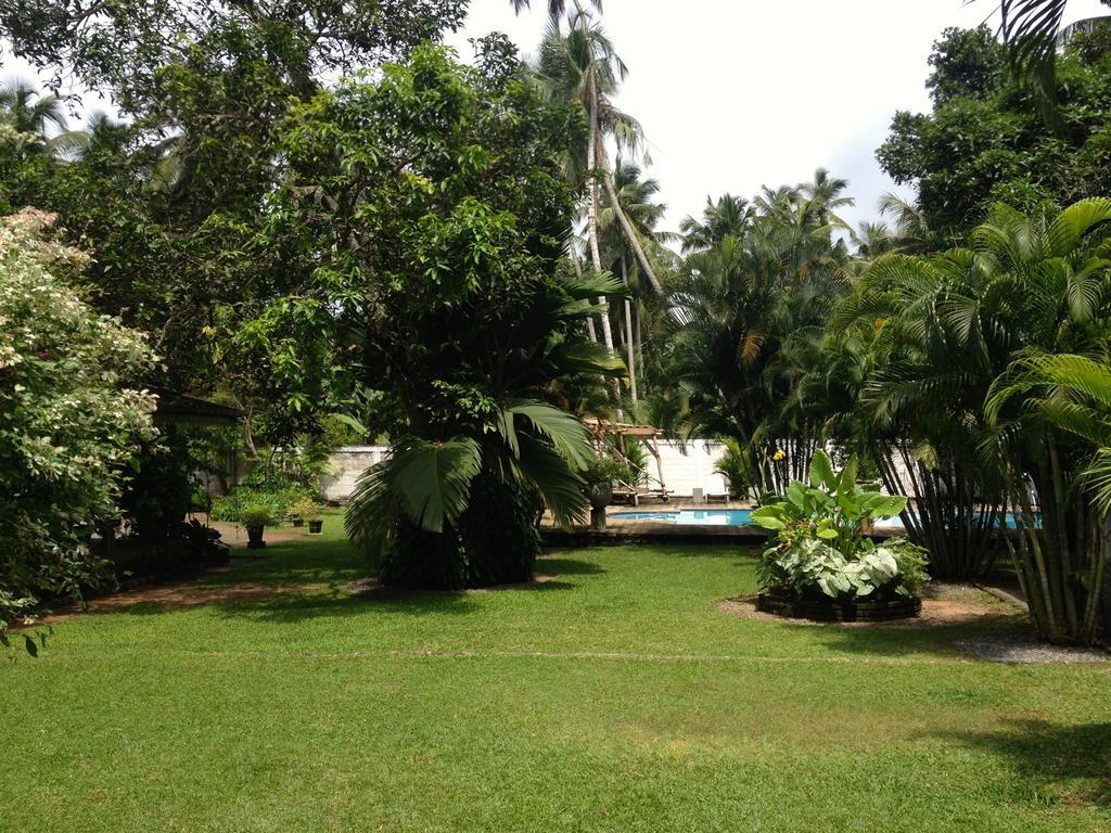 Fire Dragon Hideaway Otel Negombo Dış mekan fotoğraf