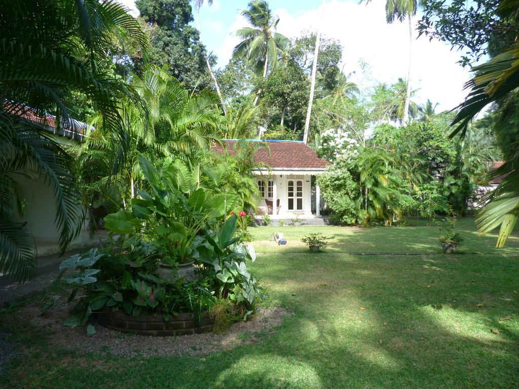 Fire Dragon Hideaway Otel Negombo Dış mekan fotoğraf
