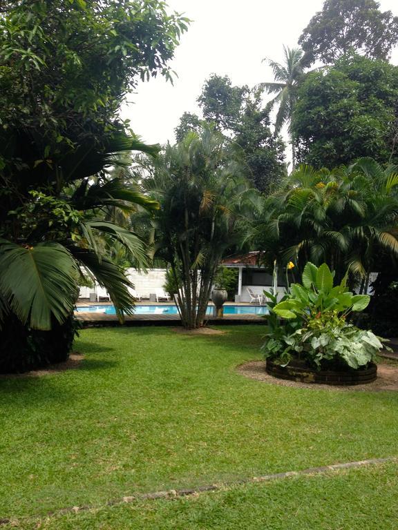 Fire Dragon Hideaway Otel Negombo Dış mekan fotoğraf