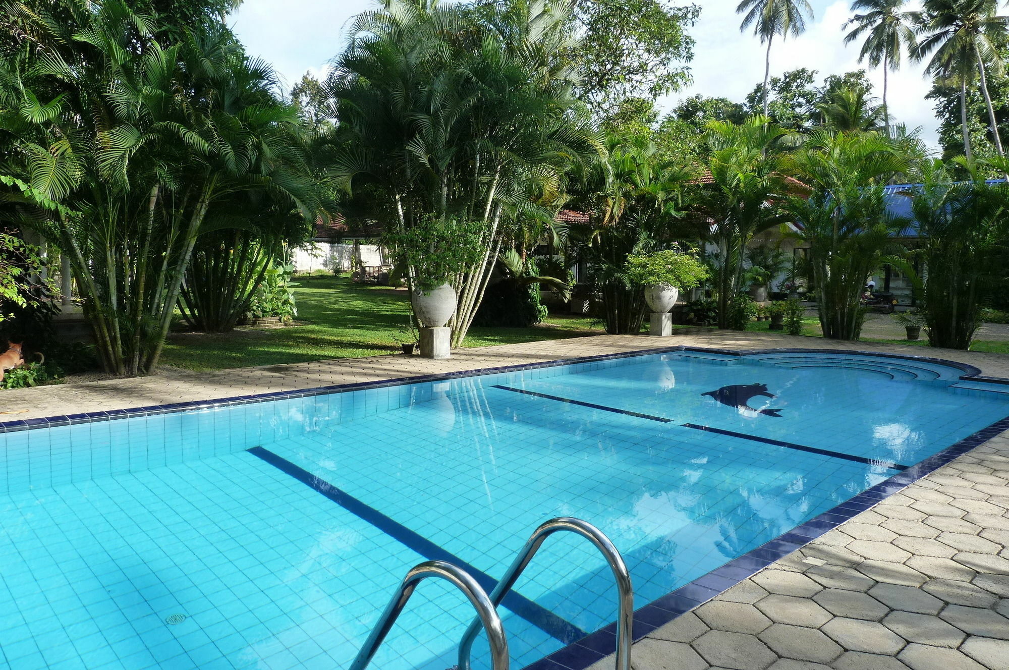 Fire Dragon Hideaway Otel Negombo Dış mekan fotoğraf