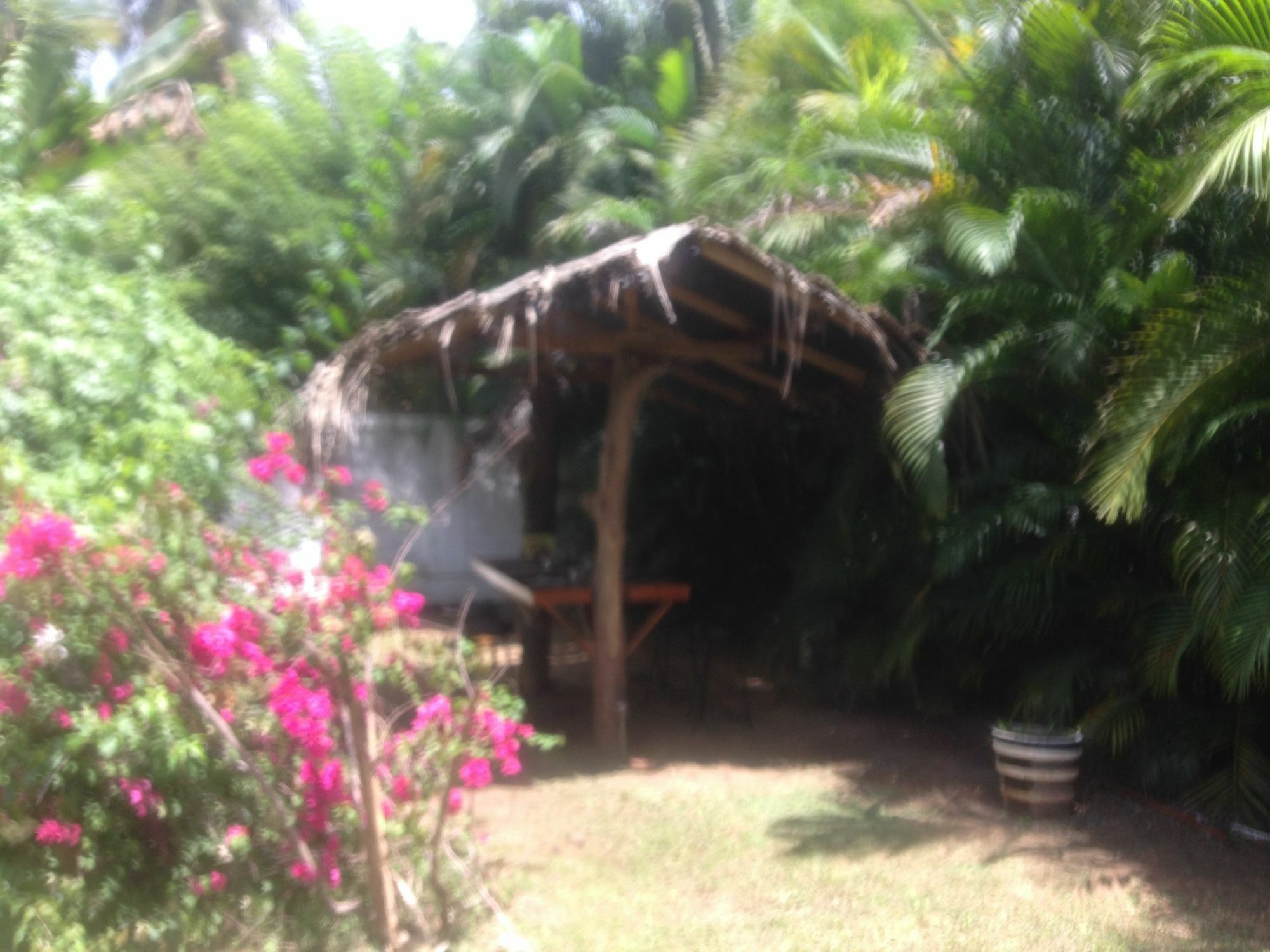 Fire Dragon Hideaway Otel Negombo Dış mekan fotoğraf