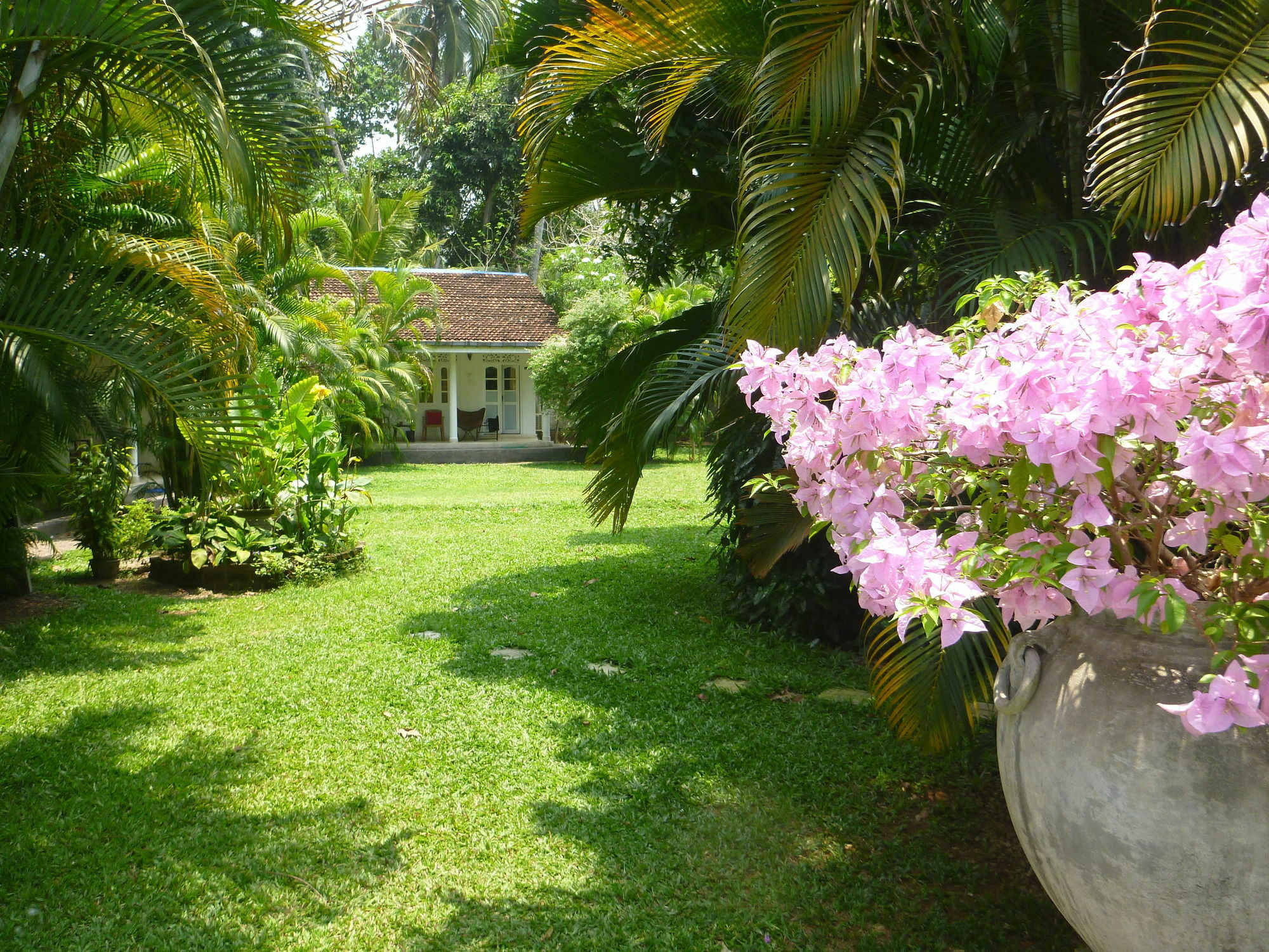 Fire Dragon Hideaway Otel Negombo Dış mekan fotoğraf