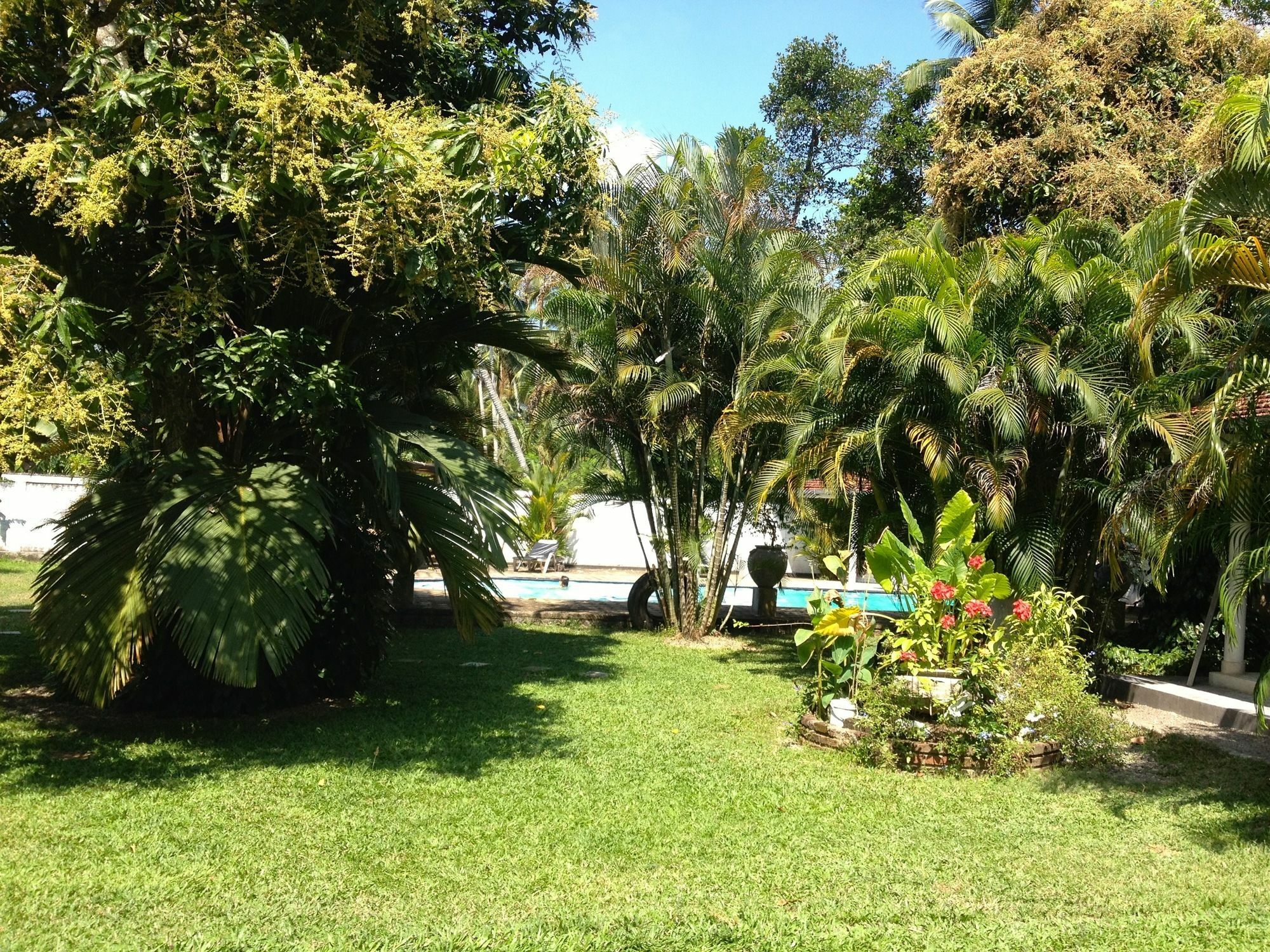 Fire Dragon Hideaway Otel Negombo Dış mekan fotoğraf