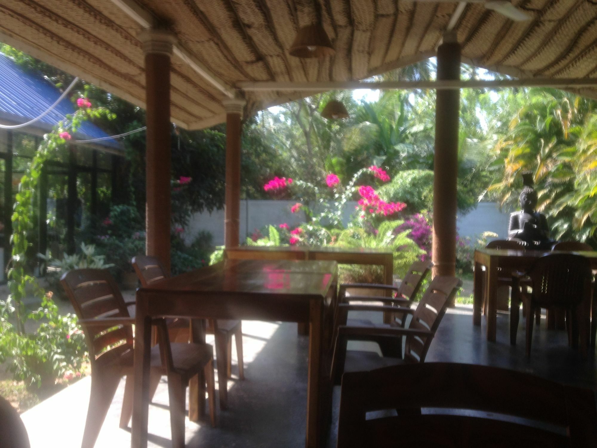 Fire Dragon Hideaway Otel Negombo Dış mekan fotoğraf