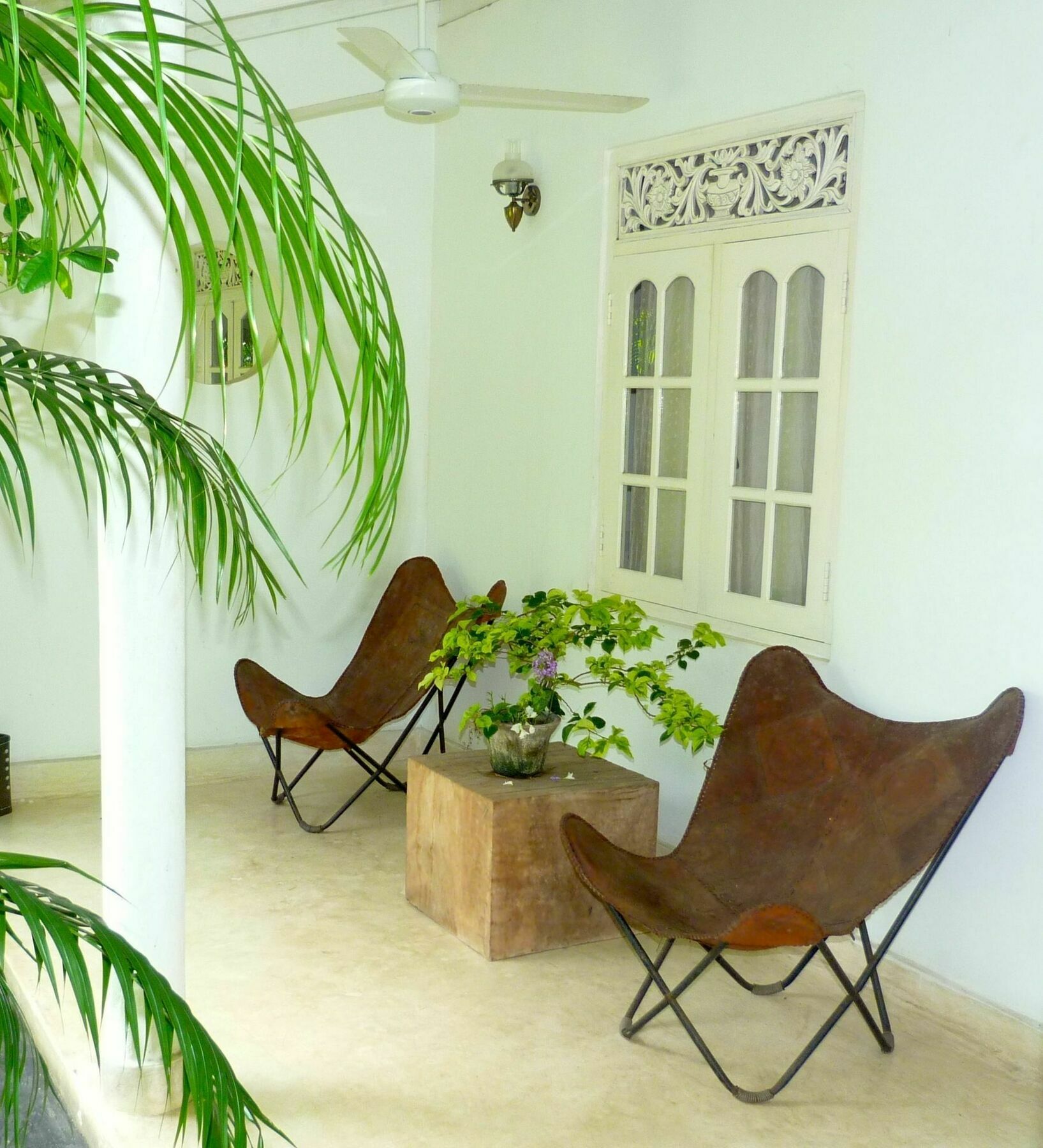 Fire Dragon Hideaway Otel Negombo Dış mekan fotoğraf
