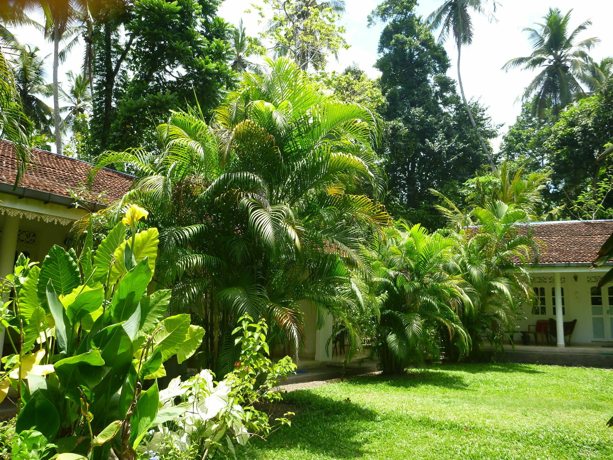 Fire Dragon Hideaway Otel Negombo Dış mekan fotoğraf
